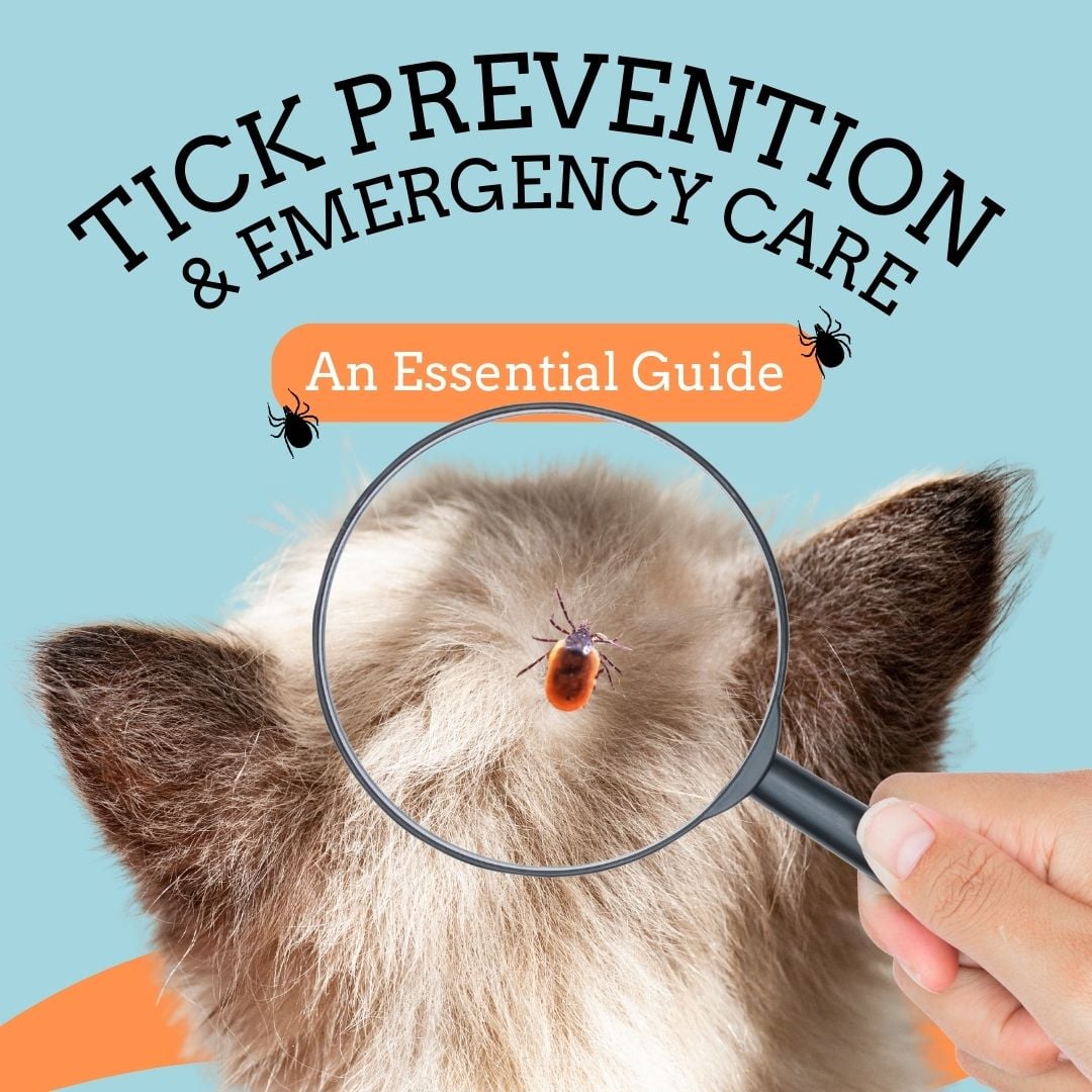 Essential Guide to Tick Prevention and Emergency Care Essential Guide to Tick Prevention and Emergency Care